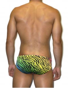 MAN SWIMSUIT WP DS NATURE 2